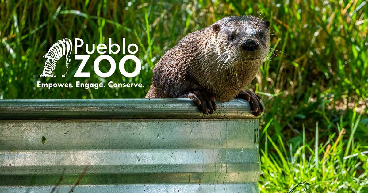 Pueblo Zoo